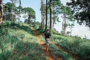 BIB: 
                            <button type="button" onclick="openModal(25675099)" class="btn btn-primary btn-sm float-right btn-popup" data-toggle="modal" data-target=".modal-high-quality">
                        <i class="fas fa-shopping-cart"></i> Add to Cart
                    </button>
                                            <button type="button" onclick="isThisMe(25675099, true)" class="btn btn-success btn-sm float-right btn-popup btn-isme hidden" data-toggle="tooltip" data-placement="bottom" title="นี่คือรูปของคุณใช่ไหม คลิกที่นี่เพื่อเอาเข้าอัลบั้ม">
                        <i class="fas fa-plus"></i> Add to album
                    </button>
                    <button type="button" onclick="isThisMe(25675099, false)" class="btn btn-warning btn-sm float-right btn-popup btn-isnotme hidden">
                        <i class="fas fa-ban"></i> Remove from album
                    </button>